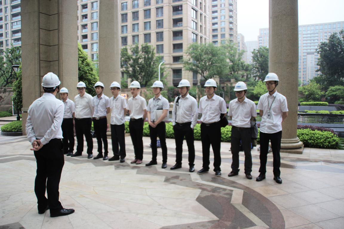 無錫紫蘋果裝飾