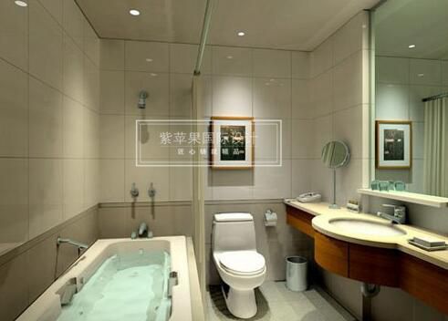 無錫紫蘋果裝飾