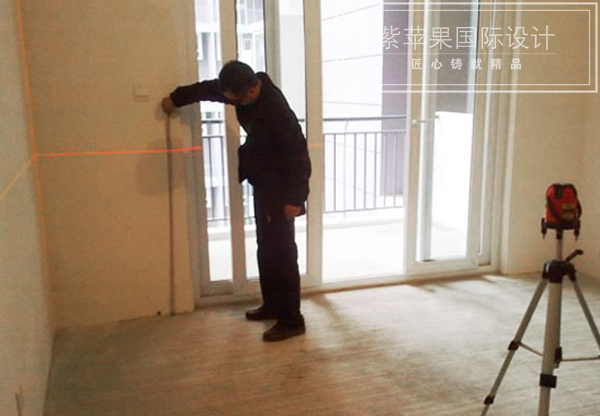 無(wú)錫紫蘋(píng)果裝飾