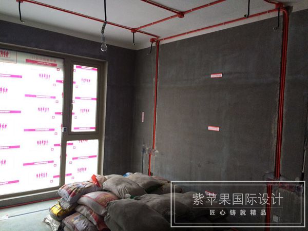 無錫紫蘋果裝飾