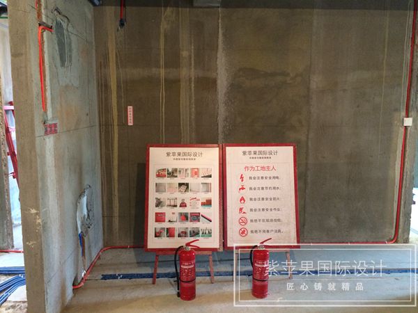 無錫紫蘋果裝飾