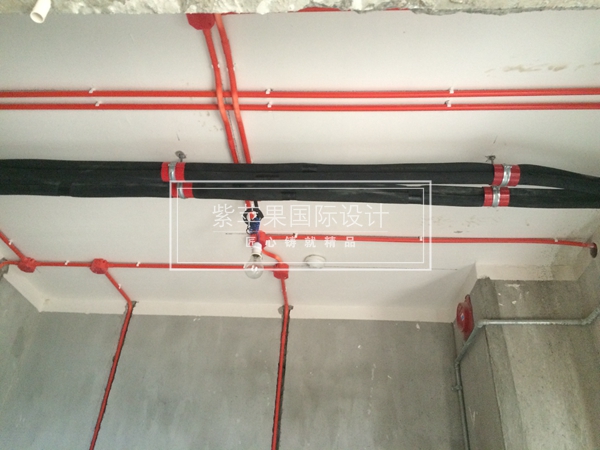 無(wú)錫紫蘋(píng)果裝飾