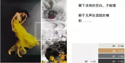 無錫紫蘋果裝飾