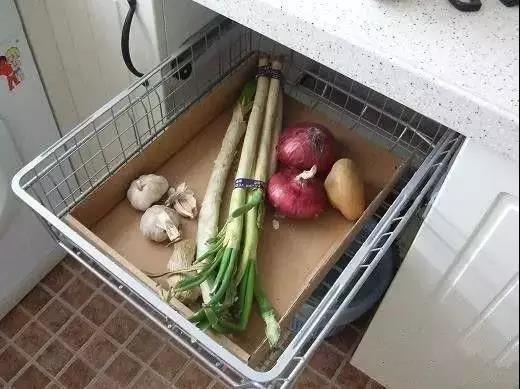 無(wú)錫紫蘋(píng)果裝飾