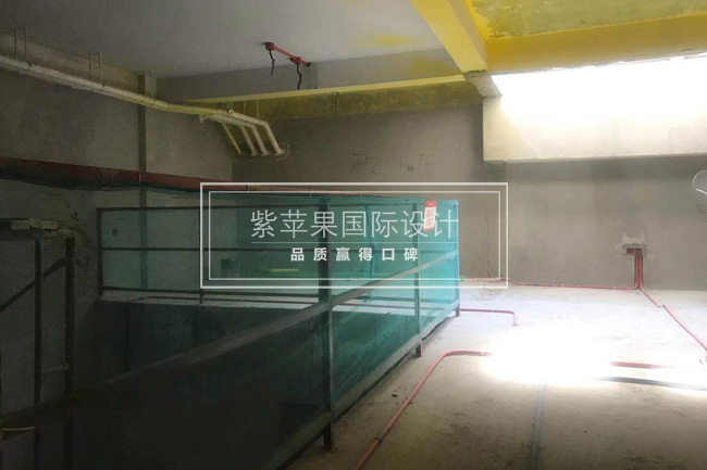 無(wú)錫紫蘋果裝飾